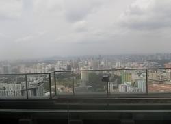 Skysuites@Anson (D2), Apartment #148836882